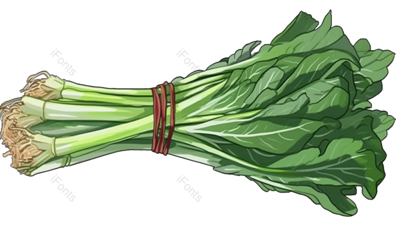 手绘素材图片,简约元素,植物PNG,新鲜免抠素材